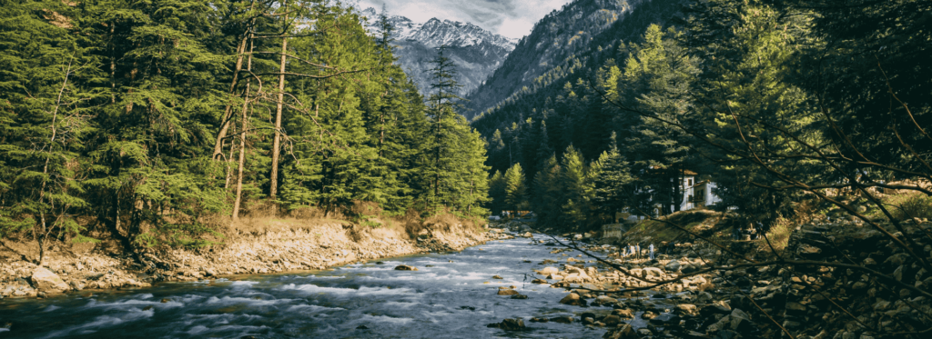 A picturesque river winds through a vibrant forest, with trees lining its banks and mountains rising in the distance.