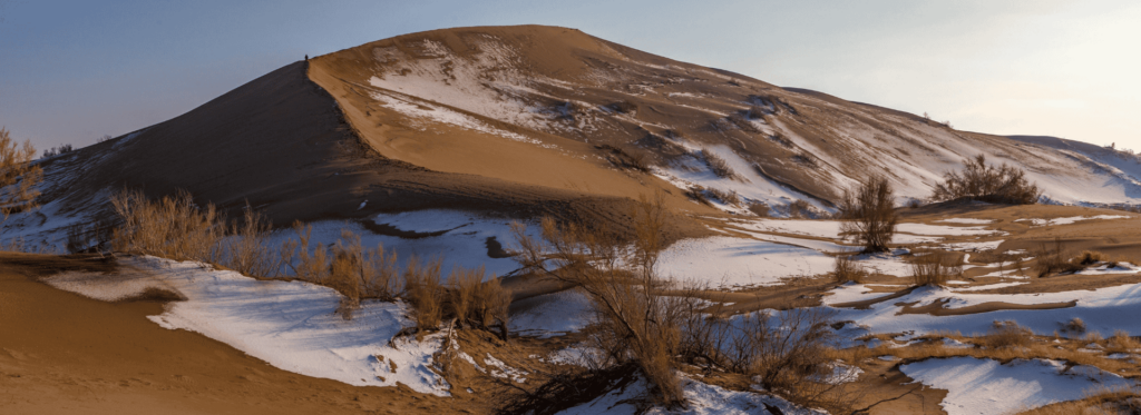 A unique desert landscape featuring snow-covered ground alongside golden sand dunes under a clear blue sky.