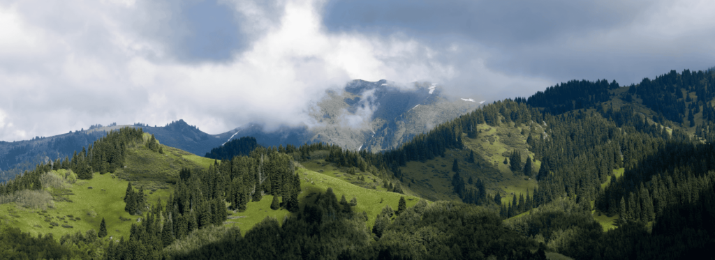 A scenic view showcasing majestic mountains surrounded by lush green grass under a clear blue sky.