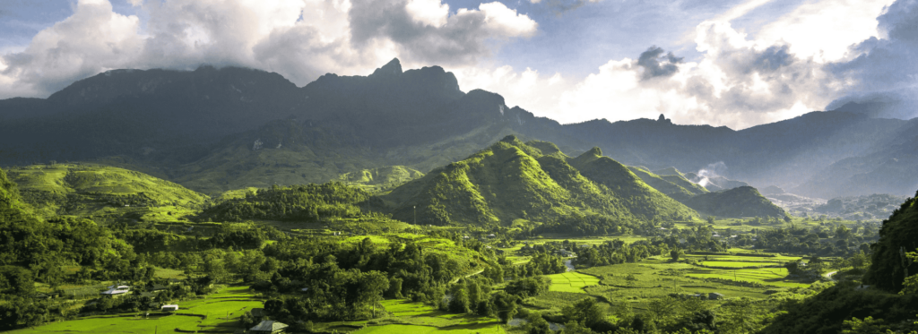 A stunning landscape showcasing abundant green grass, creating a peaceful and inviting atmosphere in nature.