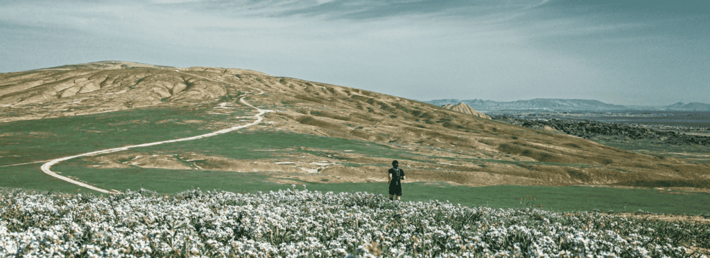 a person standing in a field of flowers