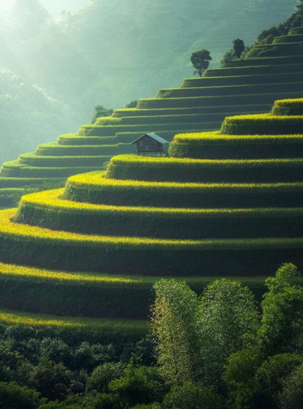 a small house on top of a large green hill